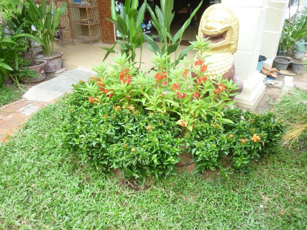 Angkor Reas Guesthouse Siem Reap Exterior foto