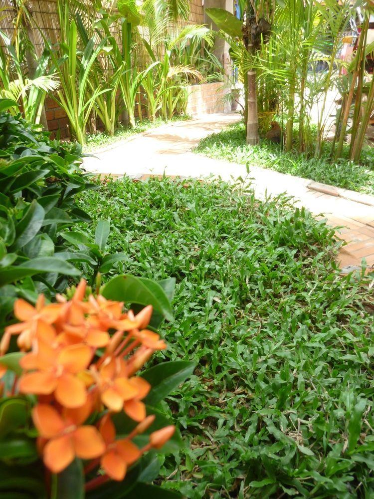 Angkor Reas Guesthouse Siem Reap Exterior foto
